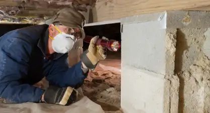Termite Inspector looking for termites in sub-floor